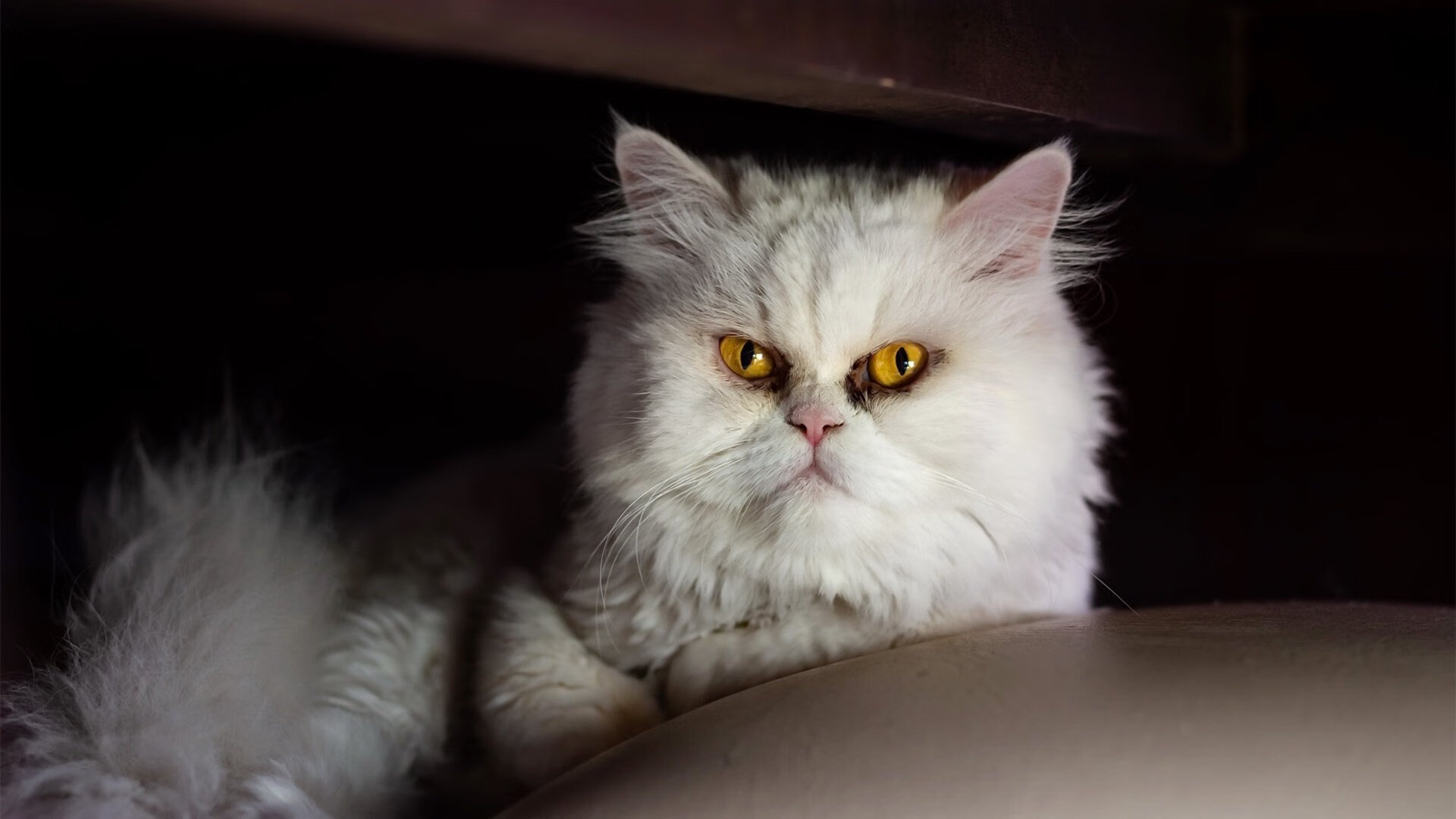 开云官网-魔术主场力克76人！保罗独揽关键攻防成胜负手